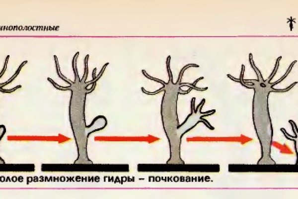 Ссылка на кракен 2krnmarket